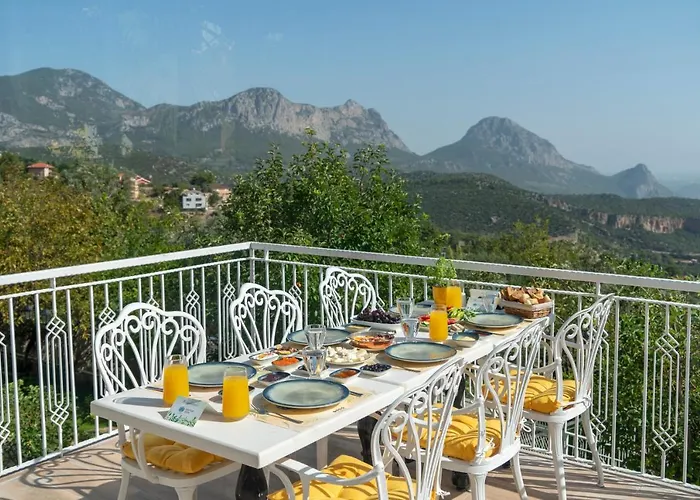 Apa Mountain Hotel