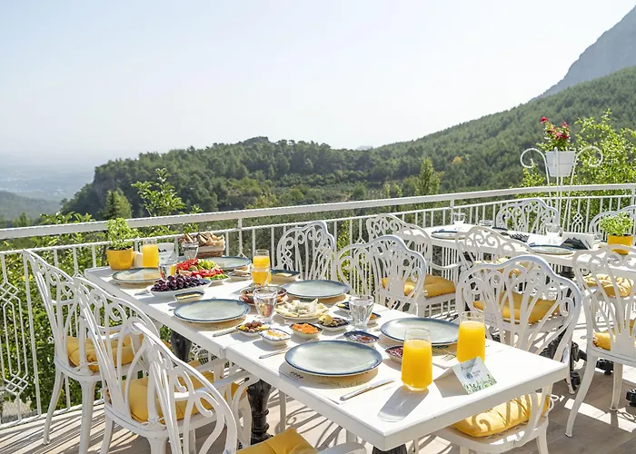 Apa Mountain Hotel