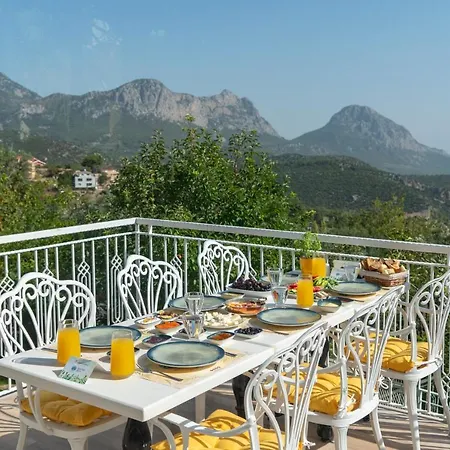 Apa Mountain Hotel
