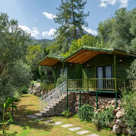Otel Apa Mountain Antalya