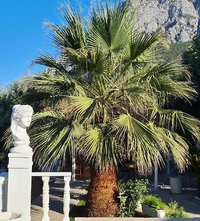 Otel Apa Mountain