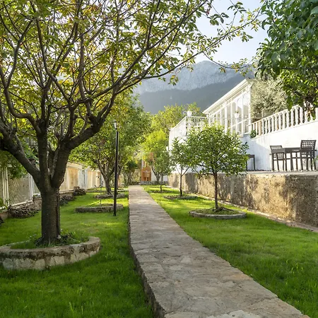 Hotel Apa Mountain Antalya