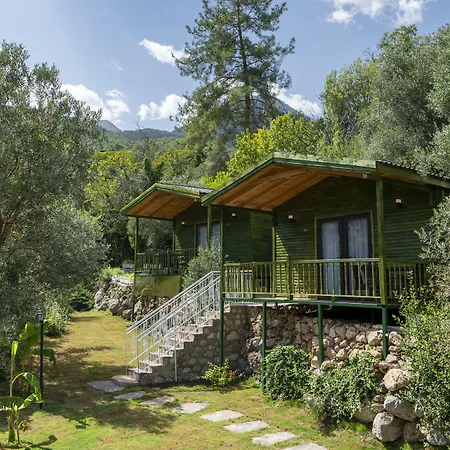 Apa Mountain מלון 5*