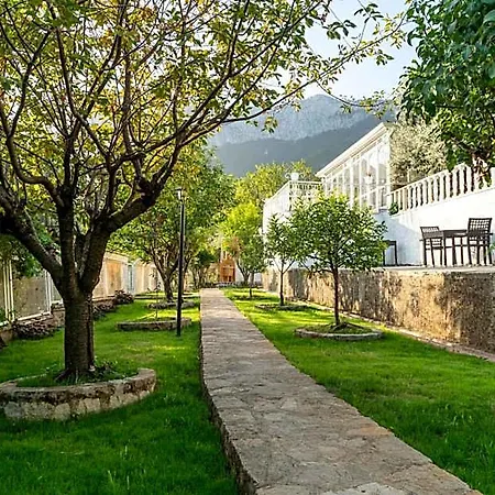 Hotel Apa Mountain 5*