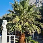 Hotel Apa Mountain