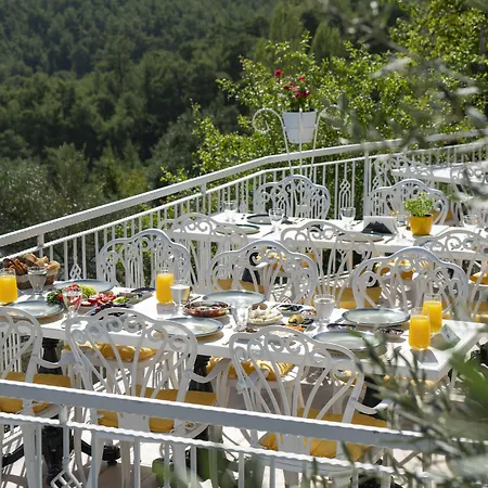 Hotel Apa Mountain 5*