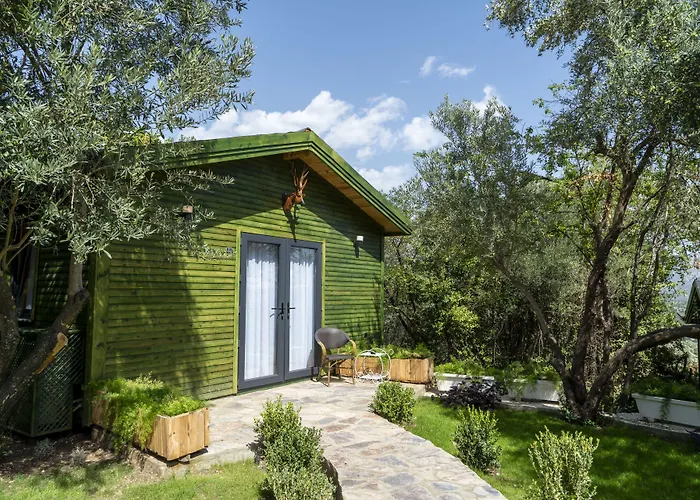 מלון Apa Mountain